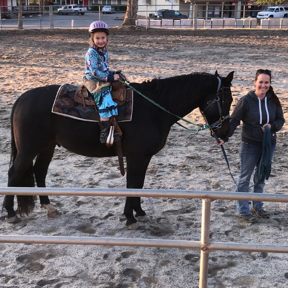 MATILDA JANE • Paint By Numbers Central Park Cardigan Sweater - Picture 7 of 9